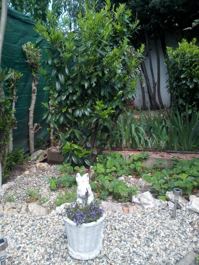 B&B Antica Corte Lombarda Mortara Ngoại thất bức ảnh