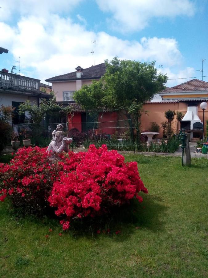 B&B Antica Corte Lombarda Mortara Ngoại thất bức ảnh