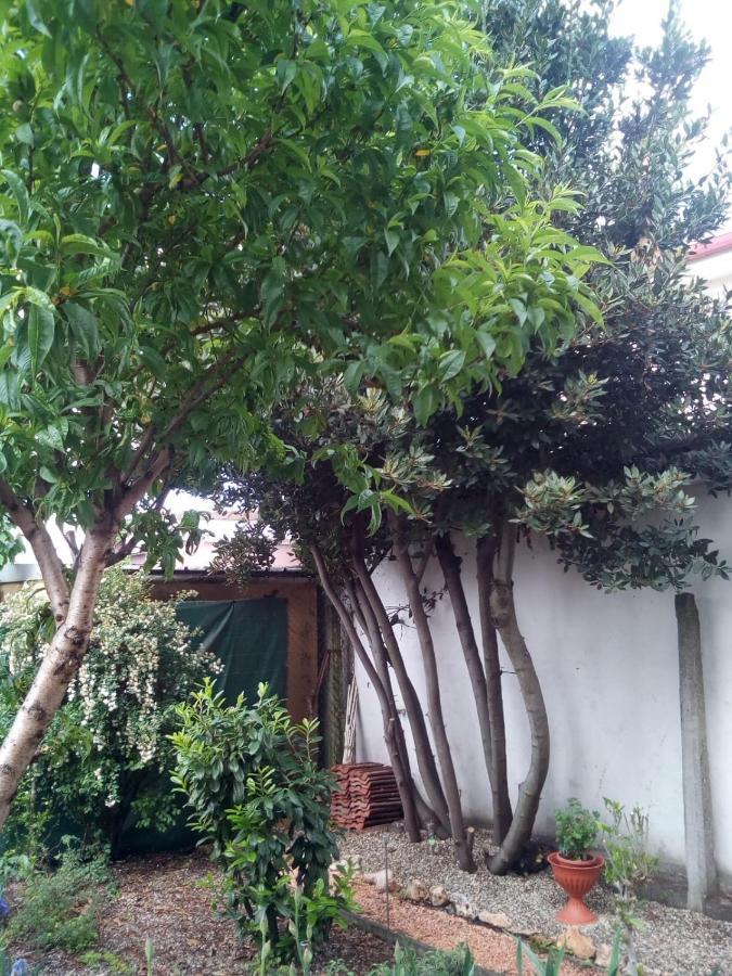 B&B Antica Corte Lombarda Mortara Ngoại thất bức ảnh